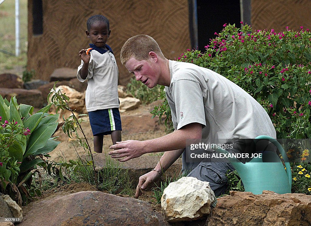 Prince Harry and a young orphan boy plan