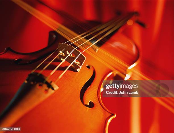 violin, bow being pulled across strings, close-up (blurred motion) - violino imagens e fotografias de stock