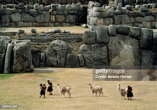 peru,cuzco,sacsayhuaman,quechua indians herding llamas past ruin - cusco city stock pictures, royalty-free photos & images