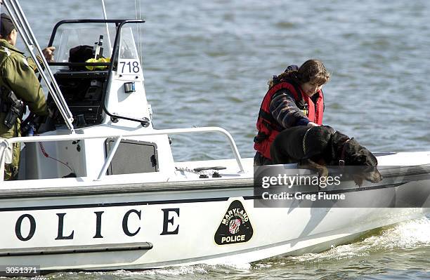 Search team uses a cadaver dog to try and locate the bodies of three missing people on Inner Harbor March 7, 2004 in Baltimore, Maryland. According...