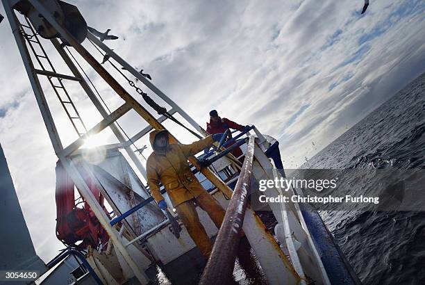 Scottish trawler men aboard the trawler, Carina, haul in their catch some 70 miles off the North coast of Scotland, in The North Atlantic on March 5,...