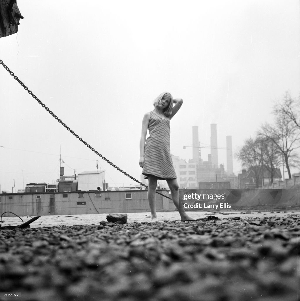 Susannah Rouse English film and stage actress Susannah York who played Sophie... News ...