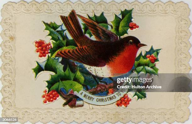 Traditional Christmas robin and sprigs of holly decorate a Victorian Christmas greetings card.