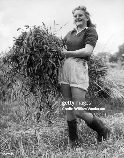 In shorts and wellingtons, Land Army girl Kay Britt helps with the harvest on a Surrey farm.