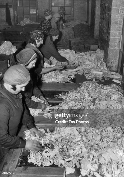 Group of workers recycle old paper and rags at a paper mill on the banks of the River Esk in Midlothian. The material has already been shredded and...