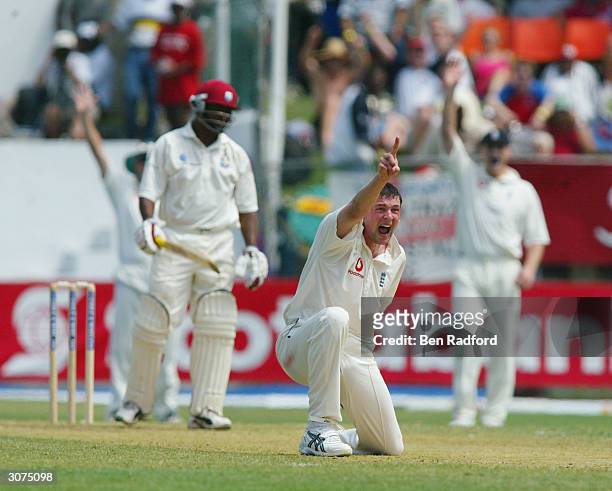 Steve Harmison of England appeals unsuccessfully for the wicket of West Indies Captain Brian Lara during the Cable and Wireless 1st Test match...