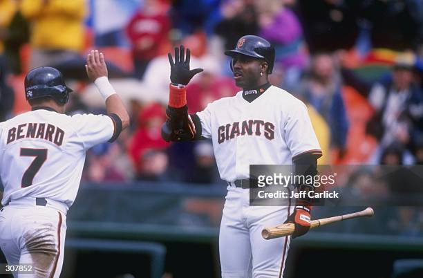 Outfielder Barry Bonds and outfielder Marvin Benard of the San Francisco Giants celebrate during a game against the St. Louis Cardinals at Three-Com...