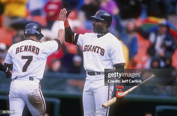 Outfielder Barry Bonds and outfielder Marvin Benard of the San Francisco Giants celebrate during a game against the St. Louis Cardinals at Three-Com...