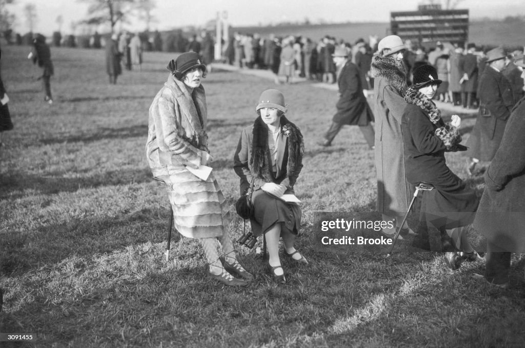 Cheltenham Paddock