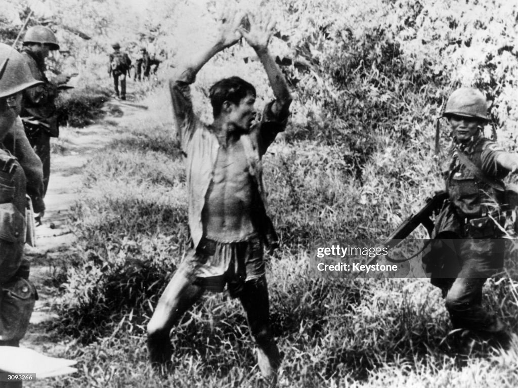 Viet Riceman A Viet Cong suspect holds his hands up after a Vietnamese Ranger from ...