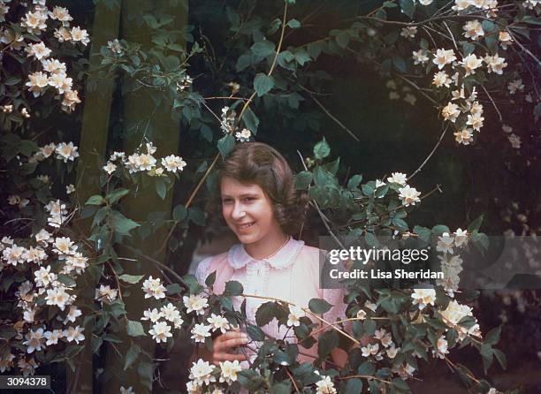 Princess Elizabeth amongst a syringa bush in the grounds of Windsor Castle, Berkshire.