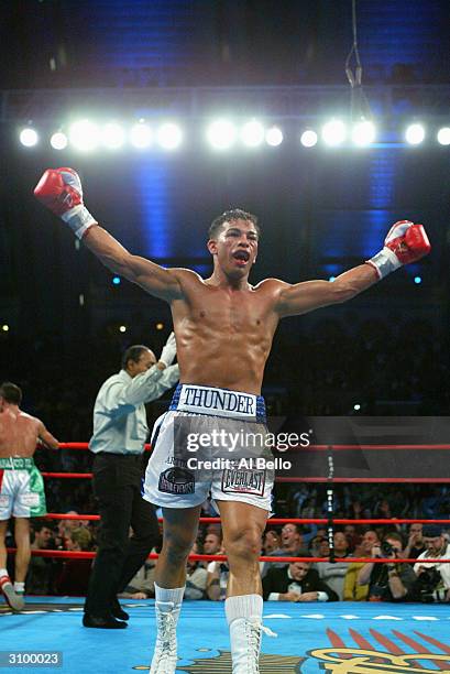 Arturo Gatti of the USA defeats Gianluca Branco of Italy during their WBC Super Lightweight Championship fight at the Boardwalk Hall on January 24,...