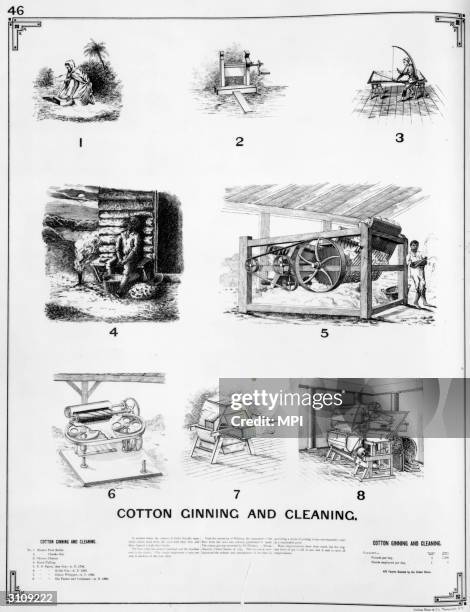 Eli Whitney invented the cotton gin in 1793. It pulls the cotton through a set of teeth which catch and separates the seeds.