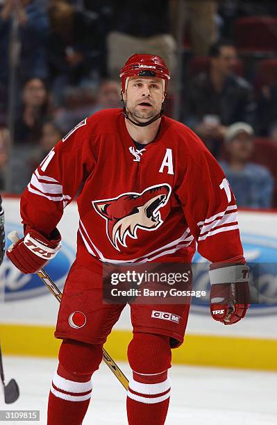 Center Daymond Langkow of the Phoenix Coyotes skates on the ice during the game against the Dallas Stars on February 14, 2004 at Glendale Arena in...