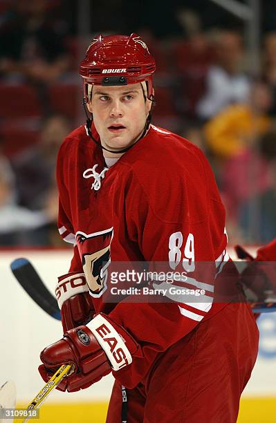 Center Mike Comrie of the Phoenix Coyotes skates on the ice during the game against the Dallas Stars on February 14, 2004 at Glendale Arena in...