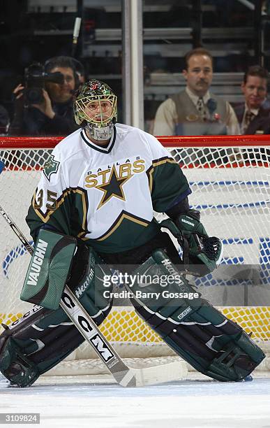 Goalie Marty Turco of the Dallas Stars stands in goal during the game against the Phoenix Coyotes on February 14, 2004 at Glendale Arena in Glendale,...