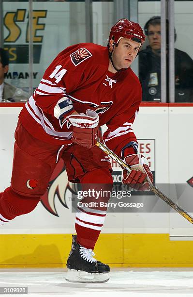 Center Jeff Taffe of the Phoenix Coyotes skates on the ice during the game against the Dallas Stars on February 14, 2004 at Glendale Arena in...