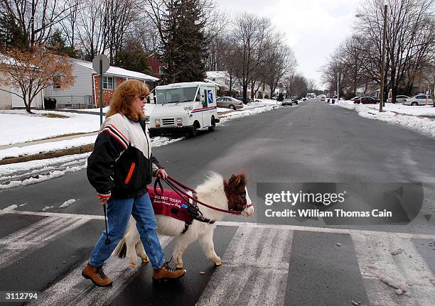 Shari Bernstiel, of Lansdale, Pennsylvania is helped across the street by Tonto, her guide horse March 19, 2004 in Lansdale, Pennsylvania. Tonto, a...