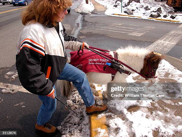 Shari Bernstiel, is helped up a curb by Tonto, her guide horse March 19, 2004 in Lansdale, Pennsylvania. Tonto, a miniature horse who went through...