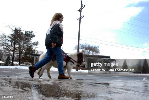 Shari Bernstiel walks across the street with her guide horse Tonto March 19, 2004 in Lansdale, Pennsylvania. Tonto, a miniature horse who went...