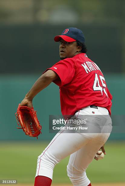 Pitcher Pedro Martinez of the Boston Red Sox pitches during the Spring Training game against the Baltimore Orioles at City of Palms Park on March 14,...