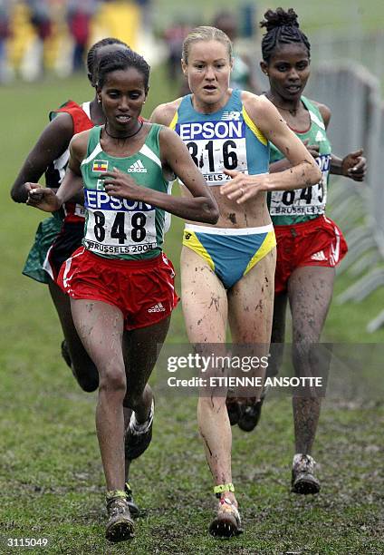 Australian winner Benita Johnson , Ethiopia's Werknesh Kidane and Ejegayehu Dibaba run during the women's long Cross race, 20 March 2004 in Brussels...