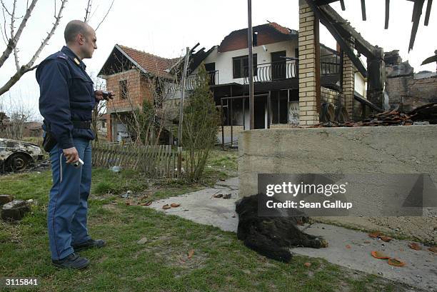An Italian UNMIK police officer walks by a dead dog and the remains of houses March 20, 2004 in what was the Serbian portion of the ethnically mixed...