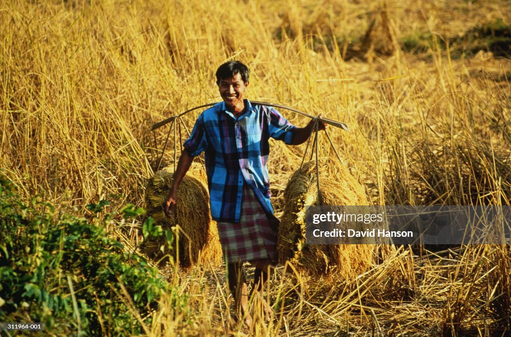Thailand,Nakhon Si Thammarat,man carrying bales of rice on a yoke