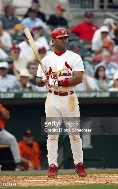 First baseman Albert Pujols of the St. Louis Cardinals at bat during the Spring Training game against the Baltimore Orioles on March 9, 2004 at Roger...