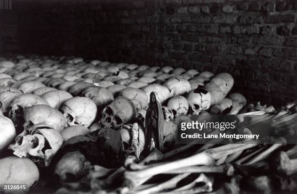 Row of human skulls and remains cover the interior of the Ntarama church that was destroyed during the genocide in Rwanda, Kigali, circa 1994.