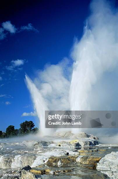 new zealand,rotorua,whakarewarewa, pohutu and prince of wales geysers - rotorua stockfoto's en -beelden