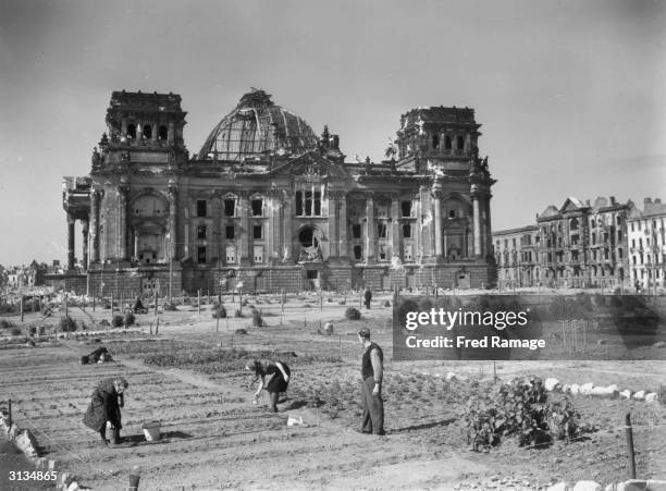 Berliners planting potato seeds in the new allotments in the Tiergarten in front of Berlin's badly damaged Reichstag or old Parliament, after World...