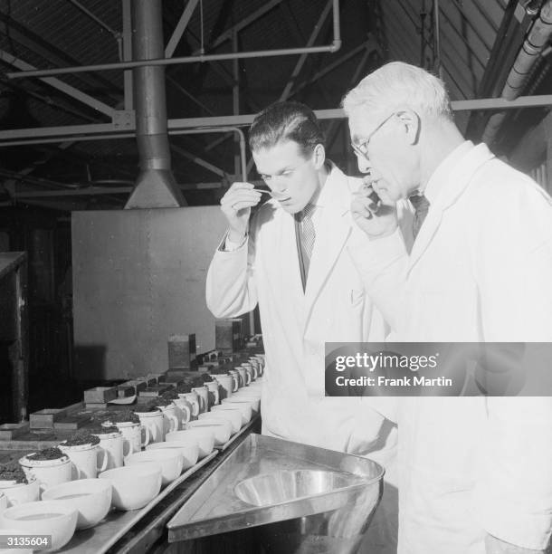 Testing Tea Pot Male Making Tea Photos and Premium High Res Pictures - Getty Images