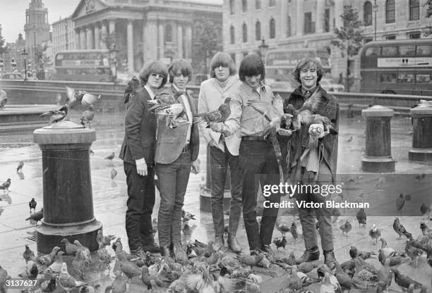 The American band The Byrds from left to right, Jim McGuinn, Chris Hillman, Mike Clarke, Gene Clark and Dave Crosby, feeding the pigeons whilst...