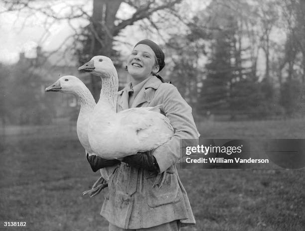 Couple of geese being carried by a pupil at the Farmhouse School, Great Missenden, Bucks where they are being reared for Christmas.