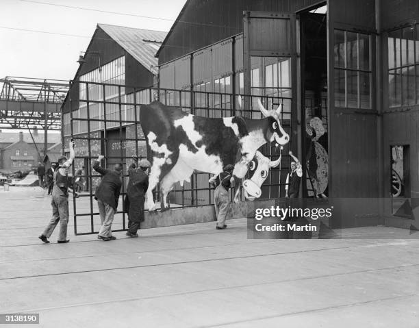 Cow is featured on this new set piece for the Blackpool illuminations. Men are transferring it from a workshop in Blackpool in preparation for the...