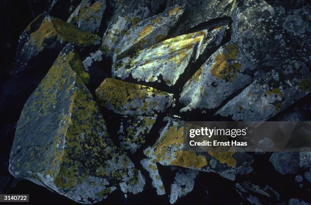 Angular Rock Example 166 Angular Position Stock Photos, High-Res Pictures, and Images ...