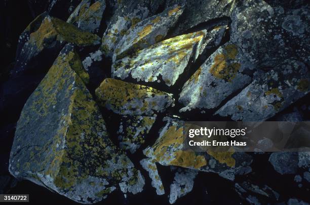 Pile of angular rocks in Pemaquid, Maine. Colour Photography book.