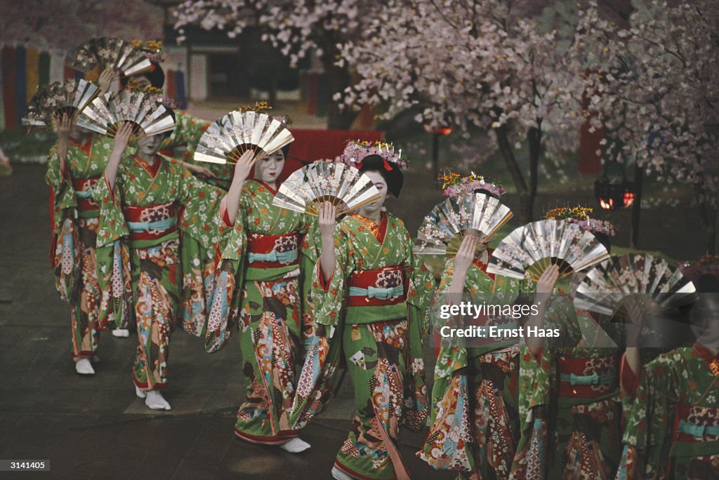 Geishers A line of geisha girls with green patterned kimonos and fans perform ...