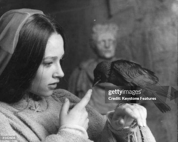 British actress Olivia Hussey as Juliet, lets a rook peck at her finger in a scene from Franco Zeffirelli's 'Romeo and Juliet'.