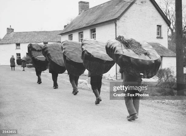 Salmon fishers at Cenarth in Cardigan, South Wales, carrying their coracles on their backs.