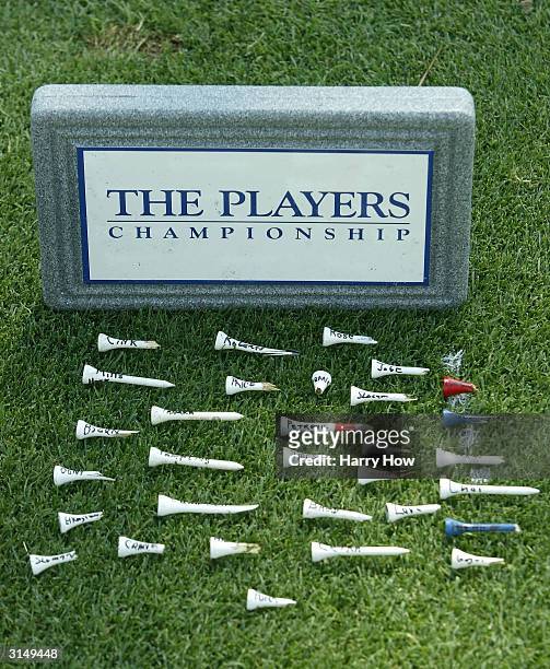 Collection of used tees are gathered on the third tee box during the final round of the Players Championship on March 28, 2004 at the TPC Sawgrass in...