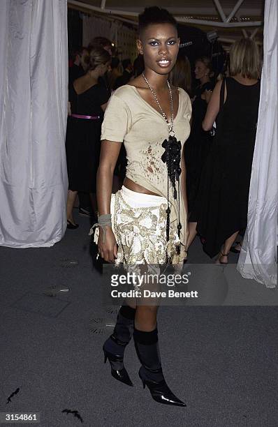 British pop star Skin attends the "Lycra British Style Awards 2003" held at Old Billingsgate Market on September 25, 2003 in London.