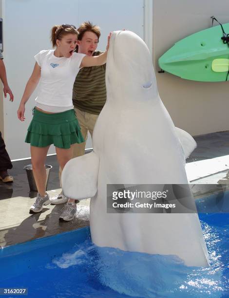 American Idol winners Kelly Clarkson and Clay Aiken and get up close to Nanuq, a 2,300-pound beluga whale, during a special behind-the-scenes tour at...