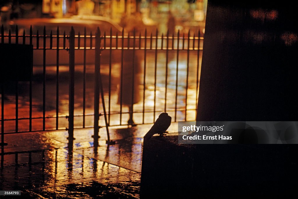 Times Square Railing Railings in Times Square, New York on a wet day. News Photo - Getty Images
