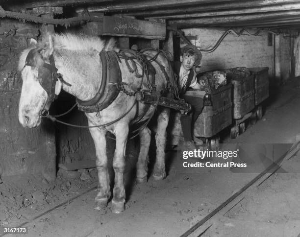 Davidson, a young miner at the Lynemouth colliery of the Ashington Coal Company. Davidson later became manager at the colliery after attending the...