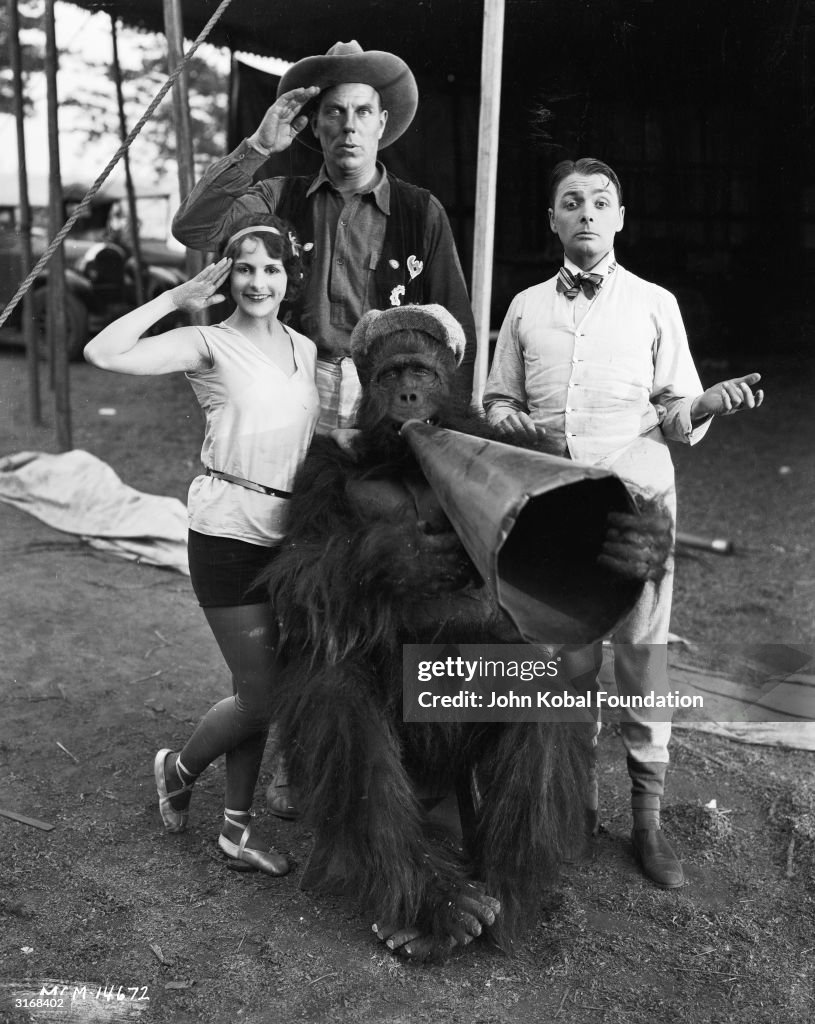 Gorilla Director