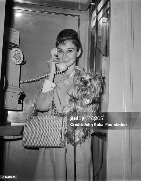 Film star, Audrey Hepburn makes a phone call holding her beloved pet Yorkshire terrier, Mr Famous.