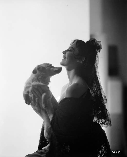 USA: 24th December 1922 - Ava Gardner Is Born