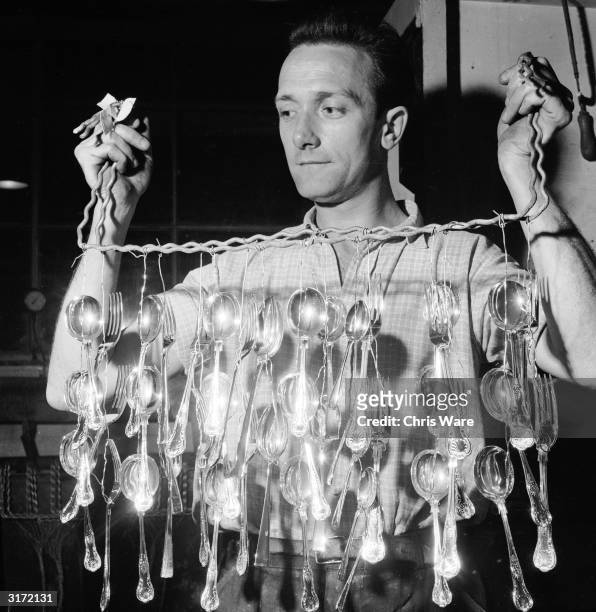 Worker hanging out newly silver-plated forks and spoons to dry at a Sheffield steel cutlery factory.